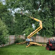 How Our Tree Care Process Works  in  Gothenburg, NE